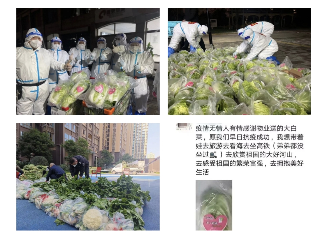 愛就一個(gè)字，我們對你說N次...(圖5)