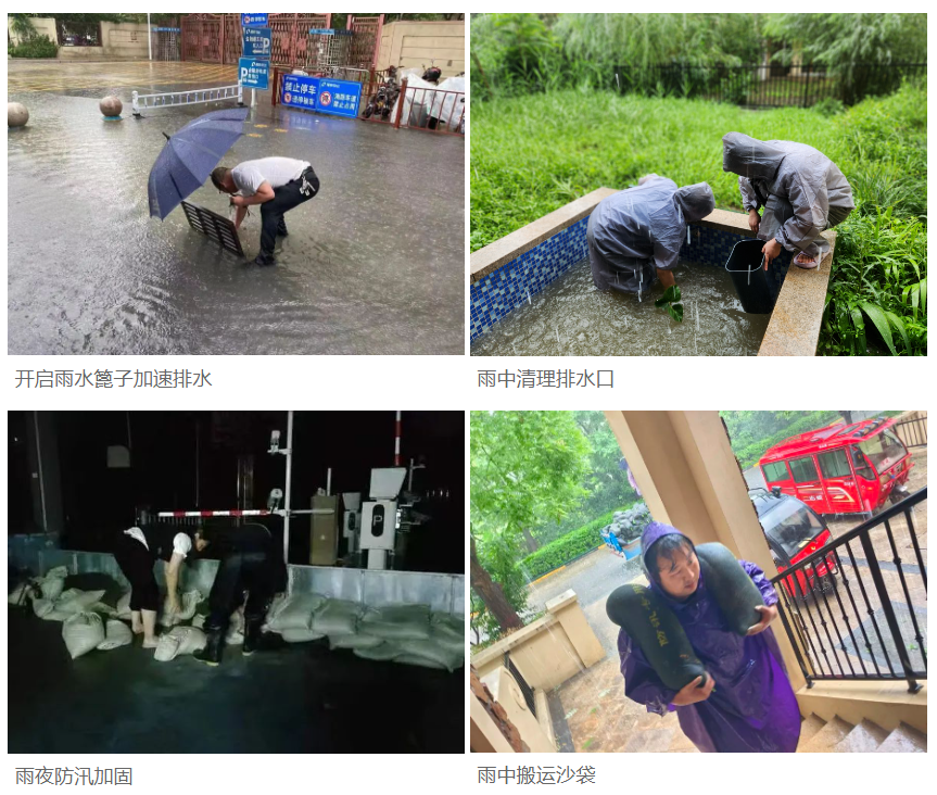 筑牢安全防線 | 隆泰物業(yè)全力開展防汛工作(圖9)