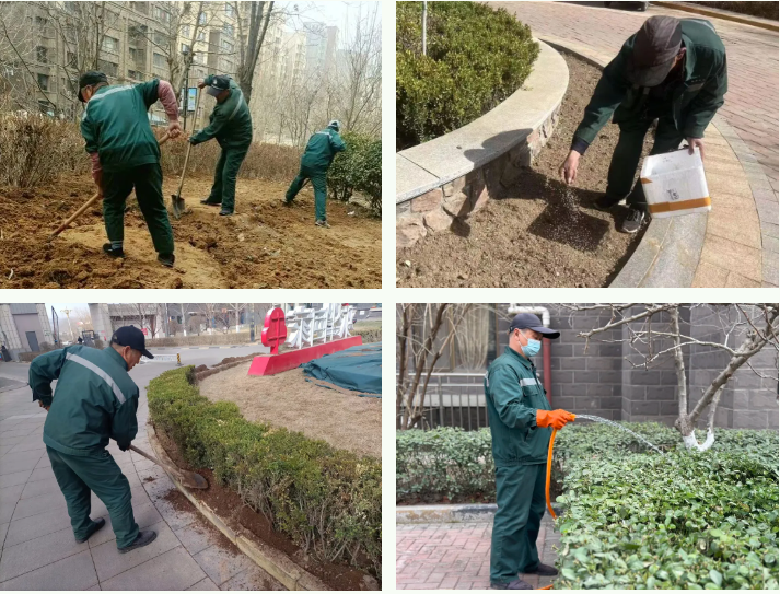 春雷行動 | 煥新春天，約你來見~(圖6)